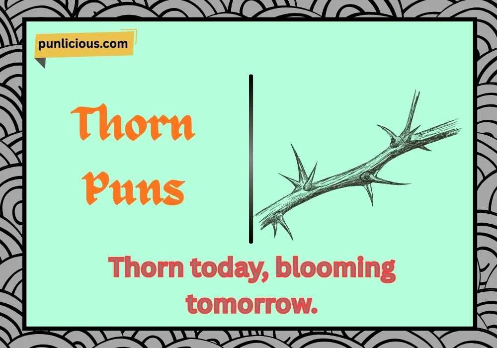 Thorn Puns