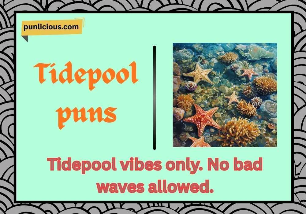 Tidepool puns