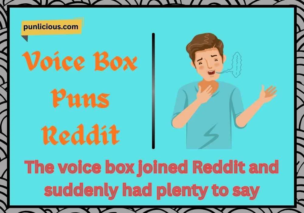 Voice Box Puns Reddit