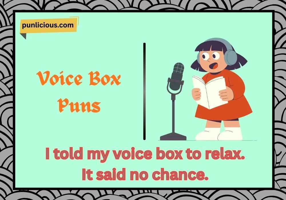 Voice Box Puns