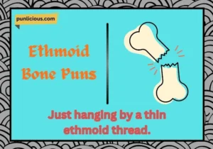 Ethmoid Bone Puns