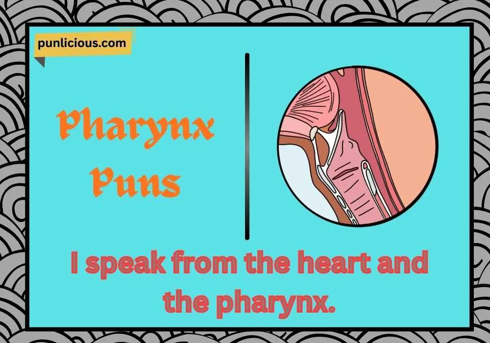 Pharynx Puns
