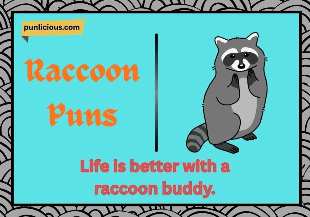 Raccoon Puns