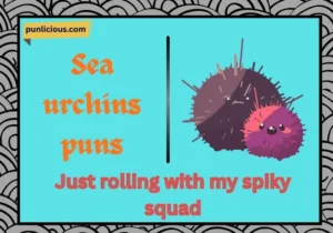 Sea urchins puns