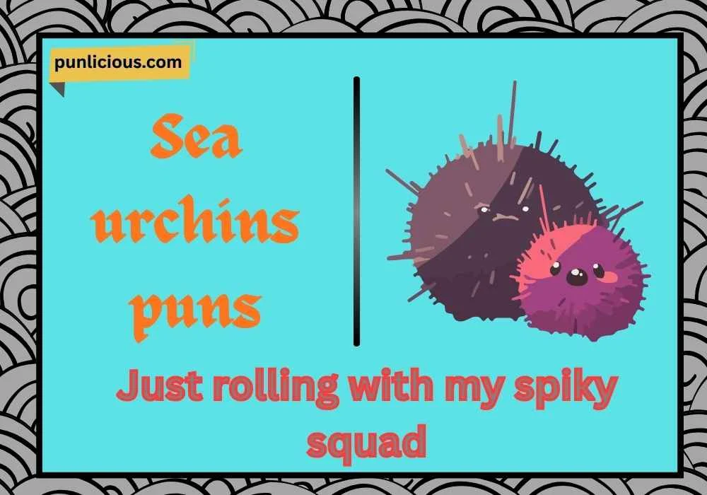 Sea urchins puns