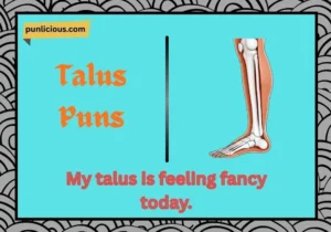 Talus Puns