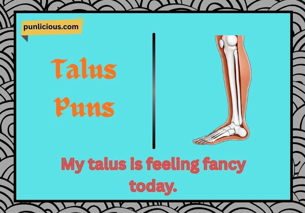 Talus Puns