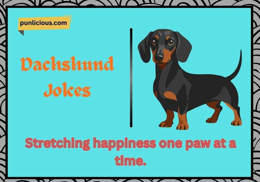 Dachshund Jokes