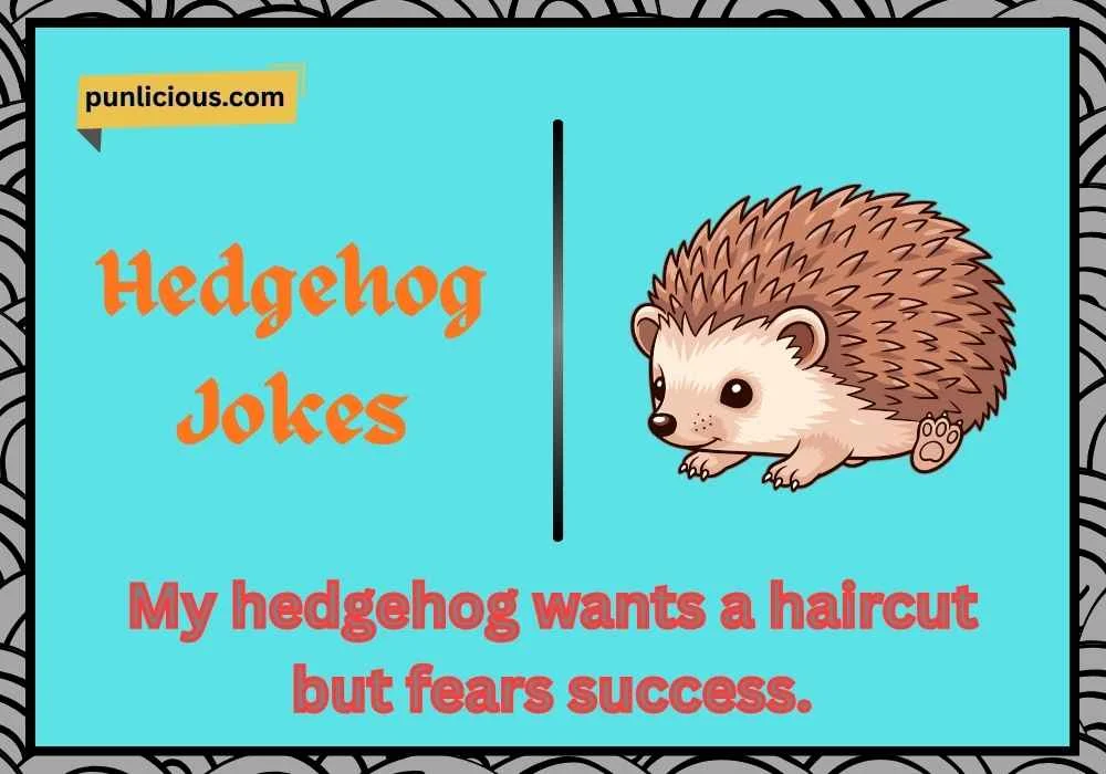 Hedgehog Jokes